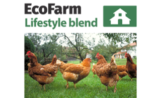 Ecofarm Lifestyle Blend - Bulk Order