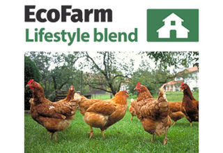 Ecofarm Lifestyle Blend - Bulk Order