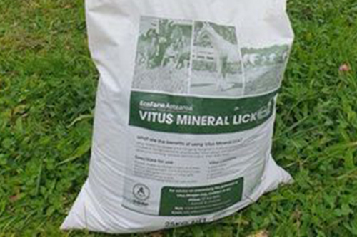 Vitus Mineral Lick